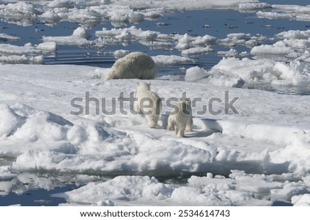 Similar – Foto Bild Meer im Schärengarten in Norwegen