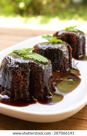 Chocolate cake with chocolate sauce decorate with mint leaf on white plate. On wood table and garden view. Home made.