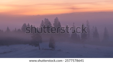 Similar – Image, Stock Photo Frosty and foggy morning on the Polish Ochodzita mountain with a view of the Czech Beskydy mountains. Lysa mountain illuminated with orange light. Winter and frosty environment