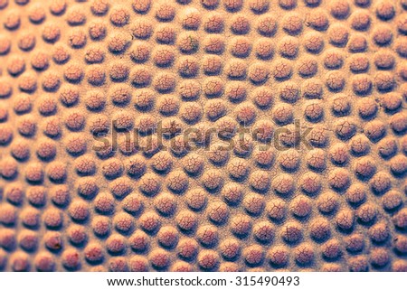 orange bubble and abstract texture on the basketball ball