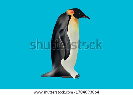 Emperor penguin. isolated on background. 3D illustration. inhabiting Antarctica