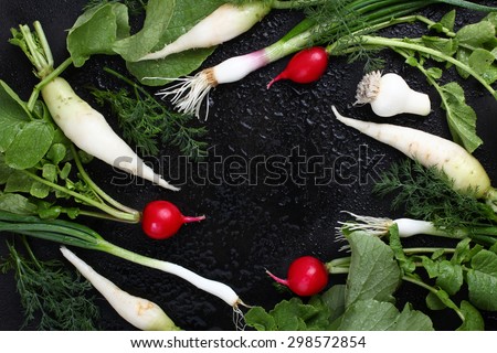 Onions, red radishes, fennel, long white radish on a isolated black background