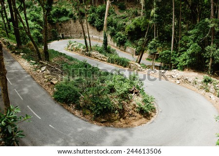 serpentine road