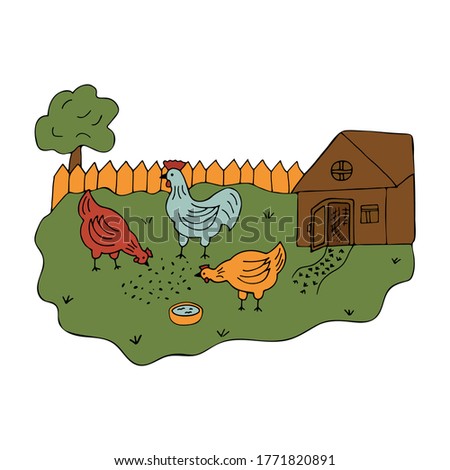 Courtyard in the village with walking hens and a cock. Colorful vector illustration in cartoon style. Poultry on a walk. Summer time. Coop in the yard. Country life