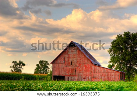 Old, red barn in corn field