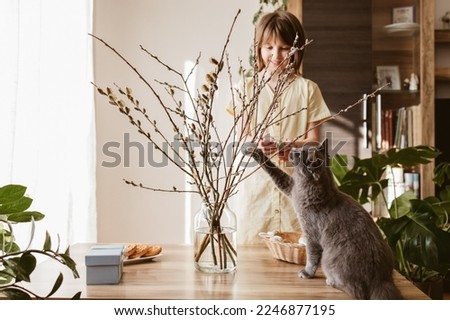 Similar – Foto Bild Kleiner Puschel Kätzchen Weide