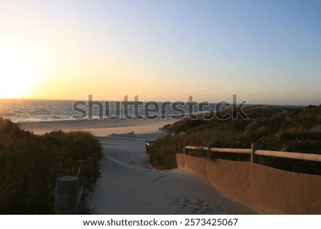 Similar – Image, Stock Photo Path through the dunes with a view of the beach of the North Sea