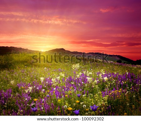 Mountain landscape with flowers