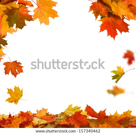 Similar – Image, Stock Photo red maple leaves covered with hoarfrost lie on a meadow