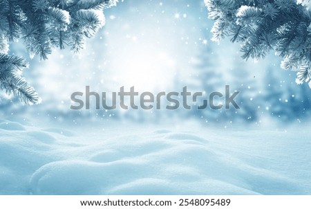 Similar – Image, Stock Photo icy and snowy branches hang from the tree in the fog