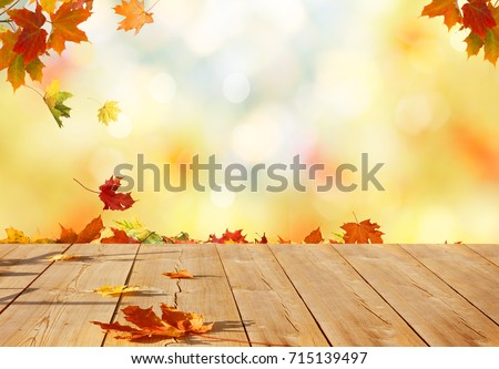 Image, Stock Photo red maple leaves covered with hoarfrost lie on a meadow