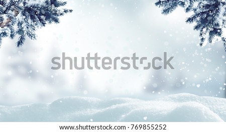 Image, Stock Photo winter dream Winter Forest