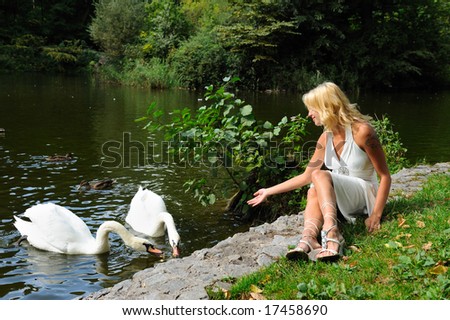 Foto Bild Junge Frau füttert Schwäne, am Ufer.