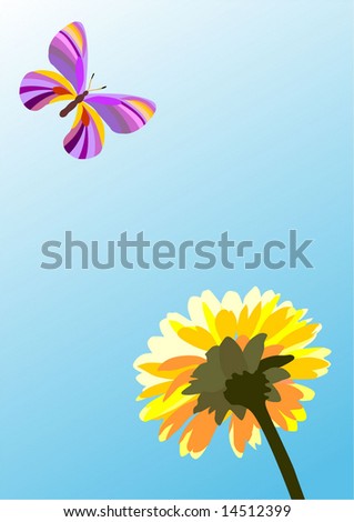 butterfly and flower, summer vector illustration