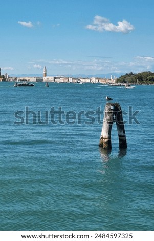 Similar – Foto Bild Venezianische Möwe auf Pfahl