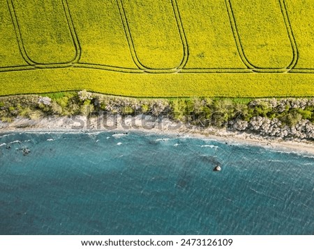 Similar – Image, Stock Photo Rape field with water tower and trees