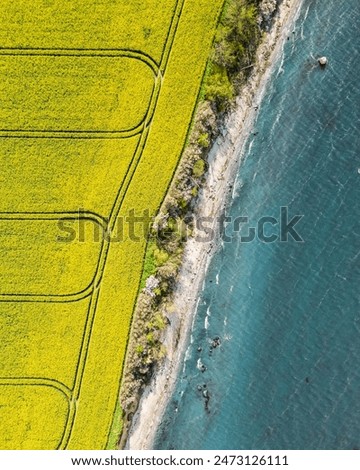 Similar – Image, Stock Photo Rape field with water tower and trees