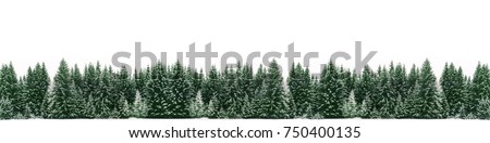 Similar – Image, Stock Photo snow on the pine tree leaves in wintertime