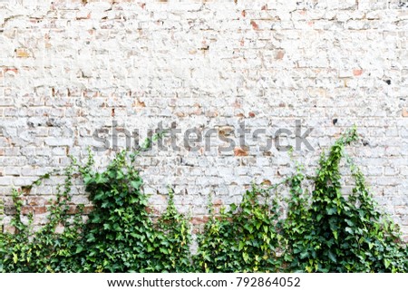 Old Weathered