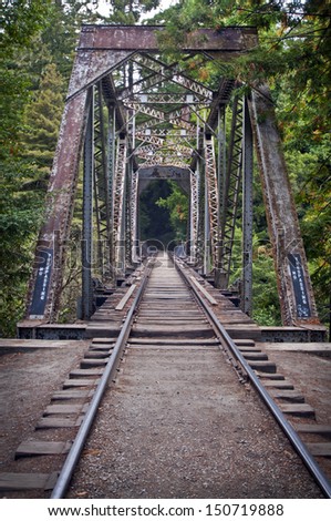 Train Bridge in  Henry Cowell Redwoods State Park, California