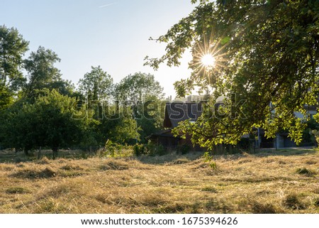 Similar – Foto Bild Sliced ​​dry hay in summer in evening sun with shed and forest in the background. Branch with leaves in the right foreground. Sun star between leaves. Rural scene, Switzerland.