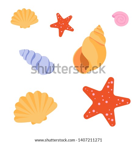 Set of sea shells and starfish on white background. Flat vector illustration.