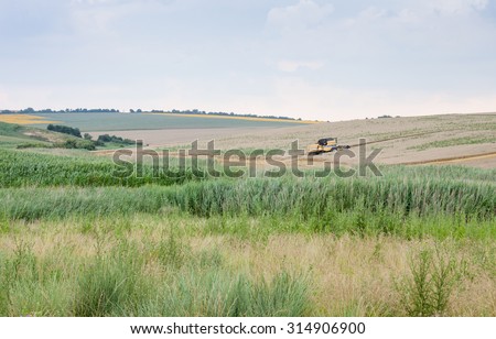 Svishtov - July 2: Harvest of wheat in agricultural machinery in the background of dramatic sky on July 2, 2015, Svishtov, Bulgaria