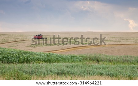 Svishtov - July 2: Harvest of wheat in agricultural machinery in the background of dramatic sky on July 2, 2015, Svishtov, Bulgaria