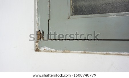 Shutterstock Puzzlepix