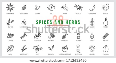 Set of icons Spices and Herbs. Outline illustration vector. Pictogram for web page, mobile app, promo. UI UX GUI design element. Editable stroke. Vector.
