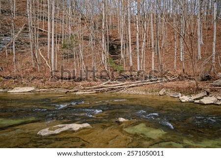 Similar – Foto Bild Tropfen Umwelt Natur