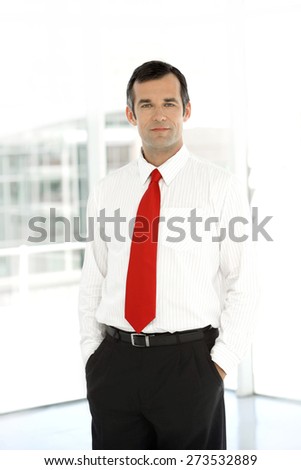 Portrait of a business executive officer. Three quarter length.