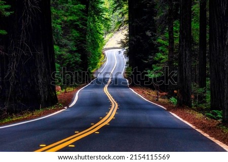Similar – Image, Stock Photo Double avenue from rows of green trees