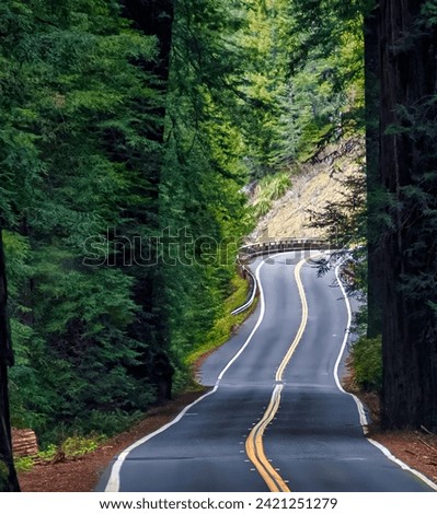 Similar – Image, Stock Photo Double avenue from rows of green trees
