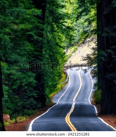 Similar – Image, Stock Photo Double avenue from rows of green trees
