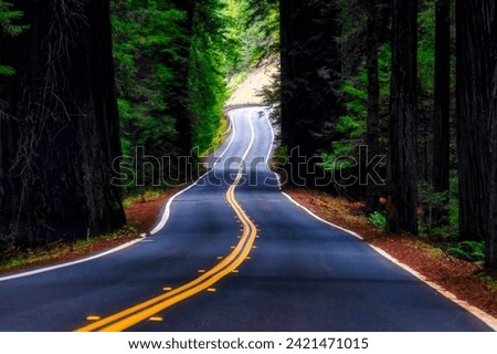 Similar – Image, Stock Photo Double avenue from rows of green trees