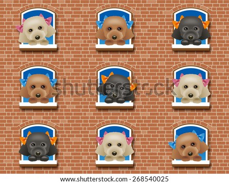 Wallpaper of Toy Poodle\'s apartment house. / Background of seamless pattern.