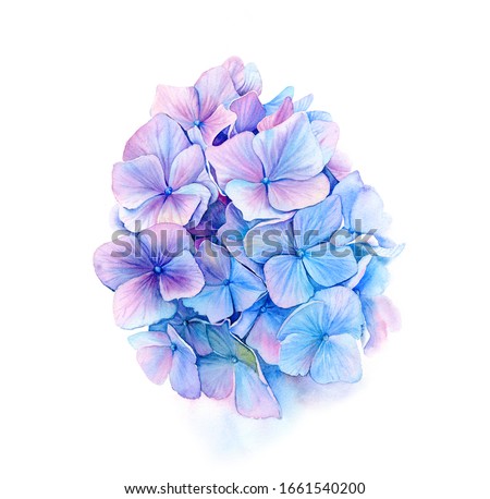 Shutterstock Puzzlepix