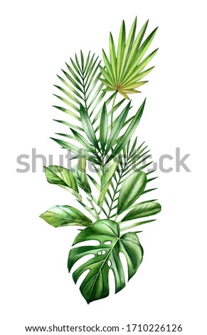 Watercolor tropical bouquet. Jungle greenery in vertical arrangement. Exotic palm leaves, monstera, isolated on white. Botanical hand drawn illustration