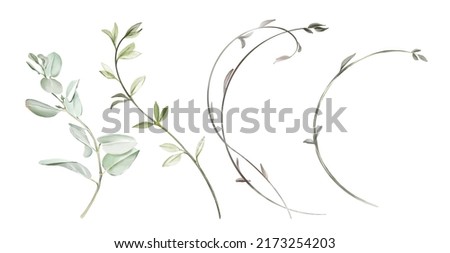 Similar – Image, Stock Photo Curved branch of a rosebush in front of a white wall