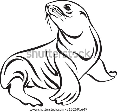 Cute fur seal animal drawing. Seated sea lion. Hand drawn black and white vector illustration isolated on white background. Design for tattoo, logo.