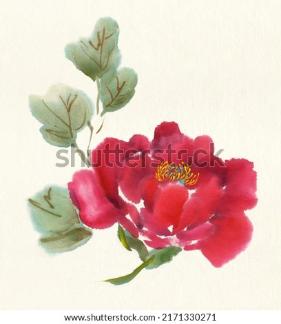 Peony flowers illustration in watercolor and ink. Peony flower isolated on white background. Traditional oriental art painting sumi-e, u-sin, go-hua. Can be used to print posters, postcards, cards.