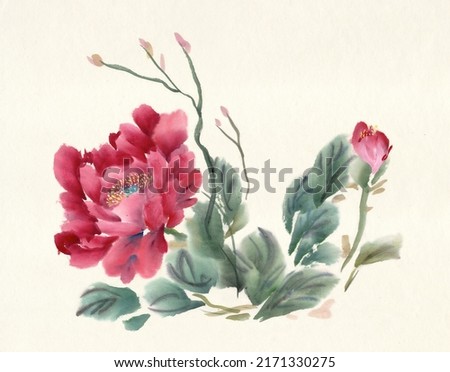 Peony flowers illustration in watercolor and ink. Peony flower isolated on white background. Traditional oriental art painting sumi-e, u-sin, go-hua. Can be used to print posters, postcards, cards.