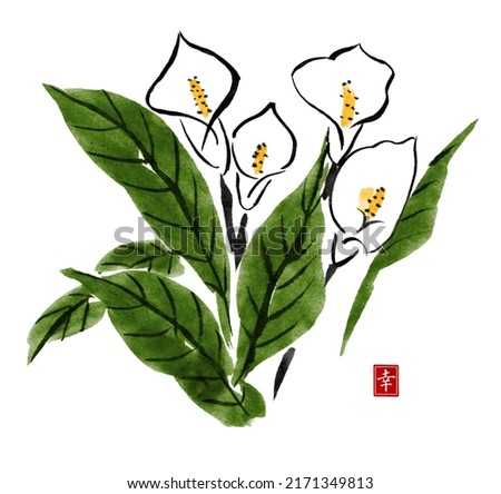 Watercolor and ink illustration of flowers. Calla flowers isolated on white background. Traditional oriental art painting sumi-e, u-sin, go-hua. Contains hieroglyphs - happiness.