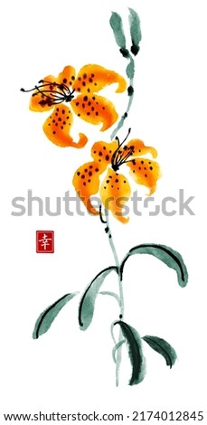 Watercolor and ink illustration of Lily flowers. Lilies flowers isolated on white background. Traditional oriental art painting sumi-e, u-sin, go-hua. Contains hieroglyph - happiness.