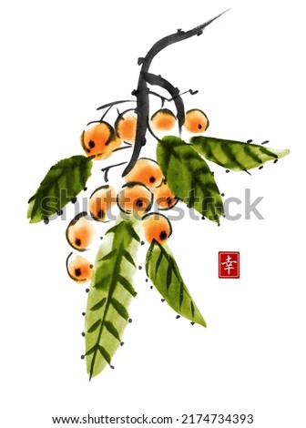 Watercolor and ink illustration of fruits. Loquat fruit isolated on white background. Traditional oriental art painting sumi-e, u-sin, go-hua. Contains hieroglyph - happiness.