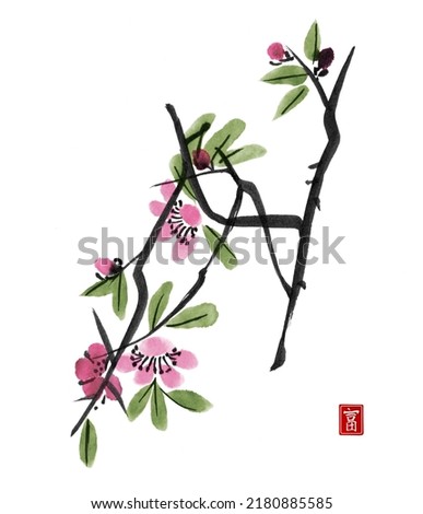 Watercolor and ink illustration  branches of flowers. Pink flowers isolated on white background. Painted in the style of traditional Chinese painting. Contains hieroglyph - wealth.