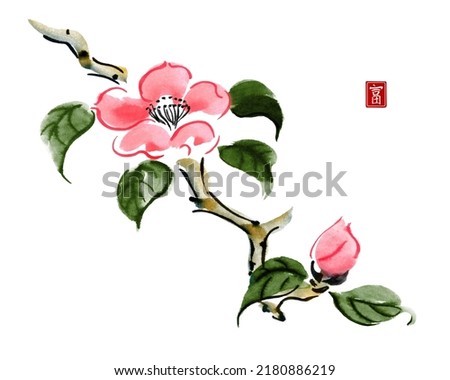 Watercolor and ink illustration  branches of flowers. Pink camellia flowers isolated on white background. Traditional oriental art painting. Contains hieroglyph - wealth.