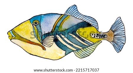 Picasso trigger fish whole isolated on white background. Marine sea fish, whole fresh saltwater fish, close-up, hand drawn watercolor drawing illustration.