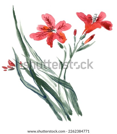 Watercolor and ink illustration of red lilies flowers. Lilies flowers isolated on white background. Traditional oriental art painting sumi-e, u-sin, go-hua. For greeting cards, invitation.